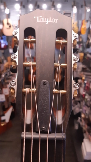 Taylor Guitars - 322E 12FRT VCL 2